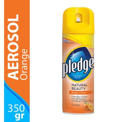 PLEDGE Aerosol Orange [350 g]