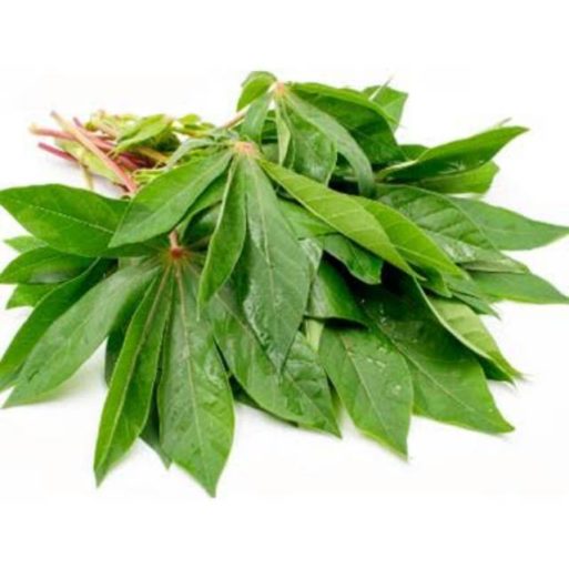 Daun Singkong